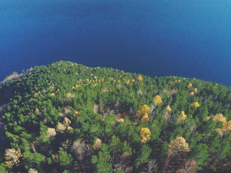 Dinamik İçerik Kartı