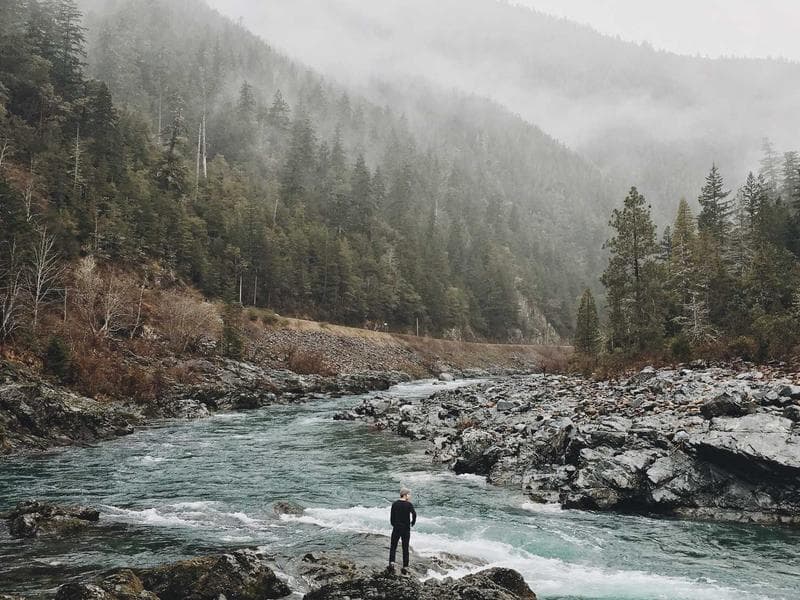 Dinamik İçerik Kartı